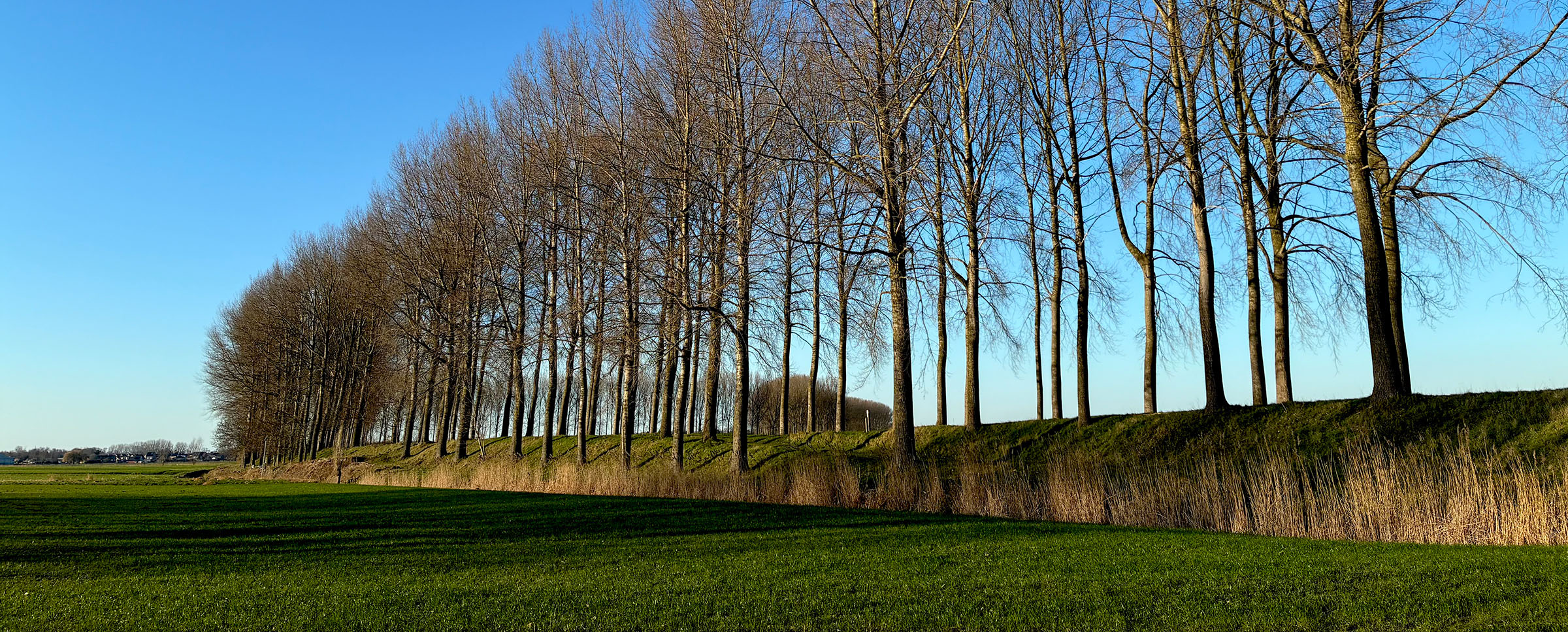 banner_groenendijk_diensten